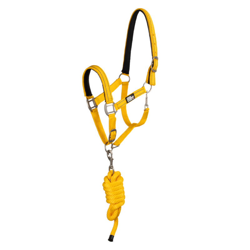 Halfter aus Polypropylen mit Eisen-Satin