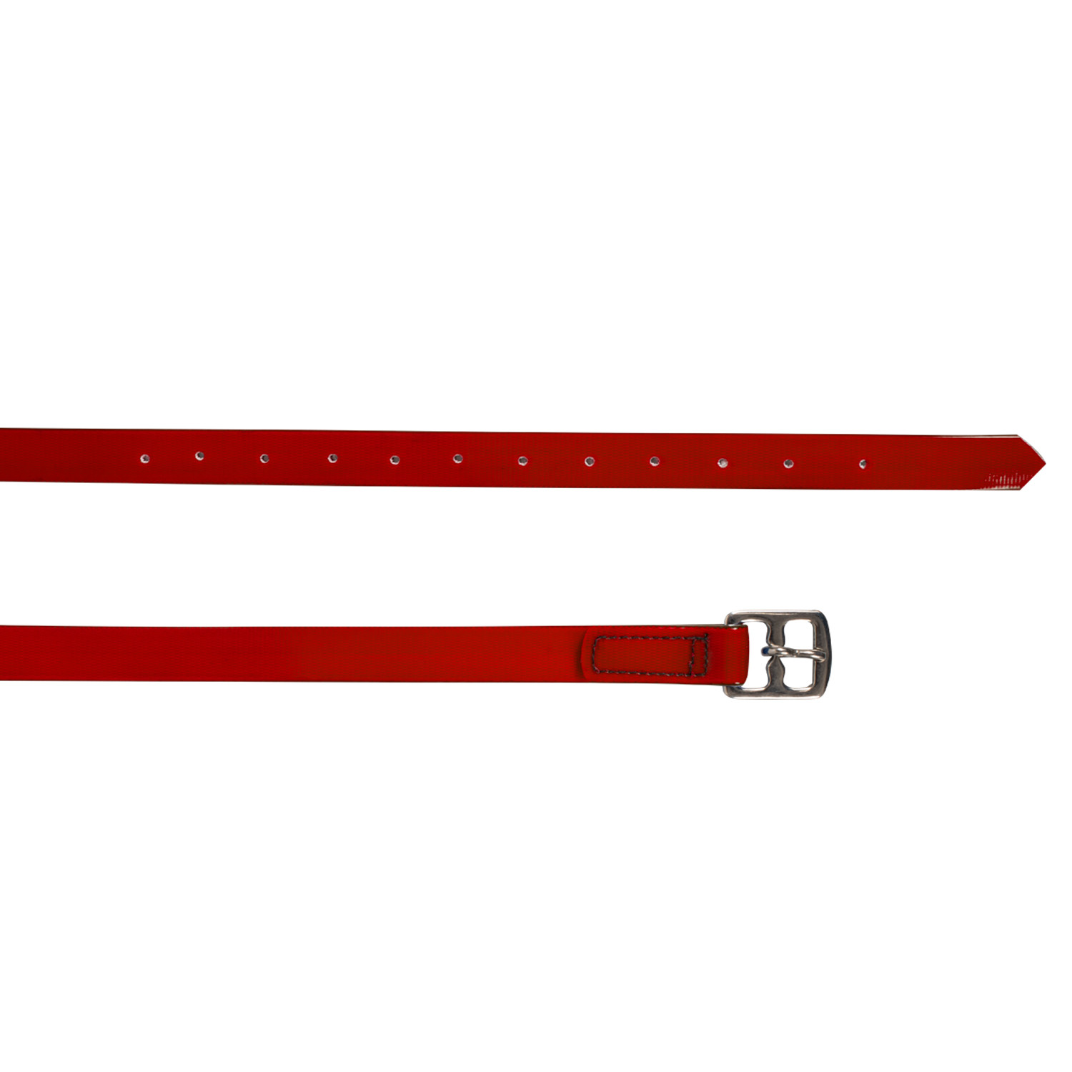 Steigbügelriemen aus Biothane mit Edelstahlschnalle