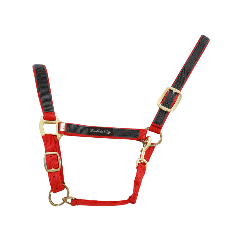 RED / BLACK