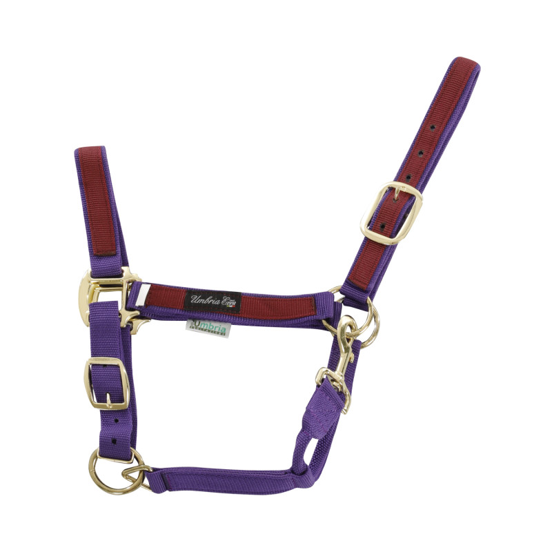 PURPLE / BURGUNDY