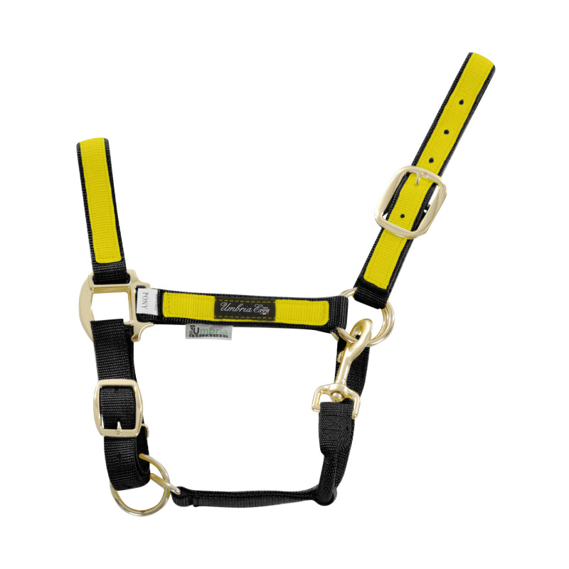 Doppeltes Nylonhalfter mit farbiger Auflage