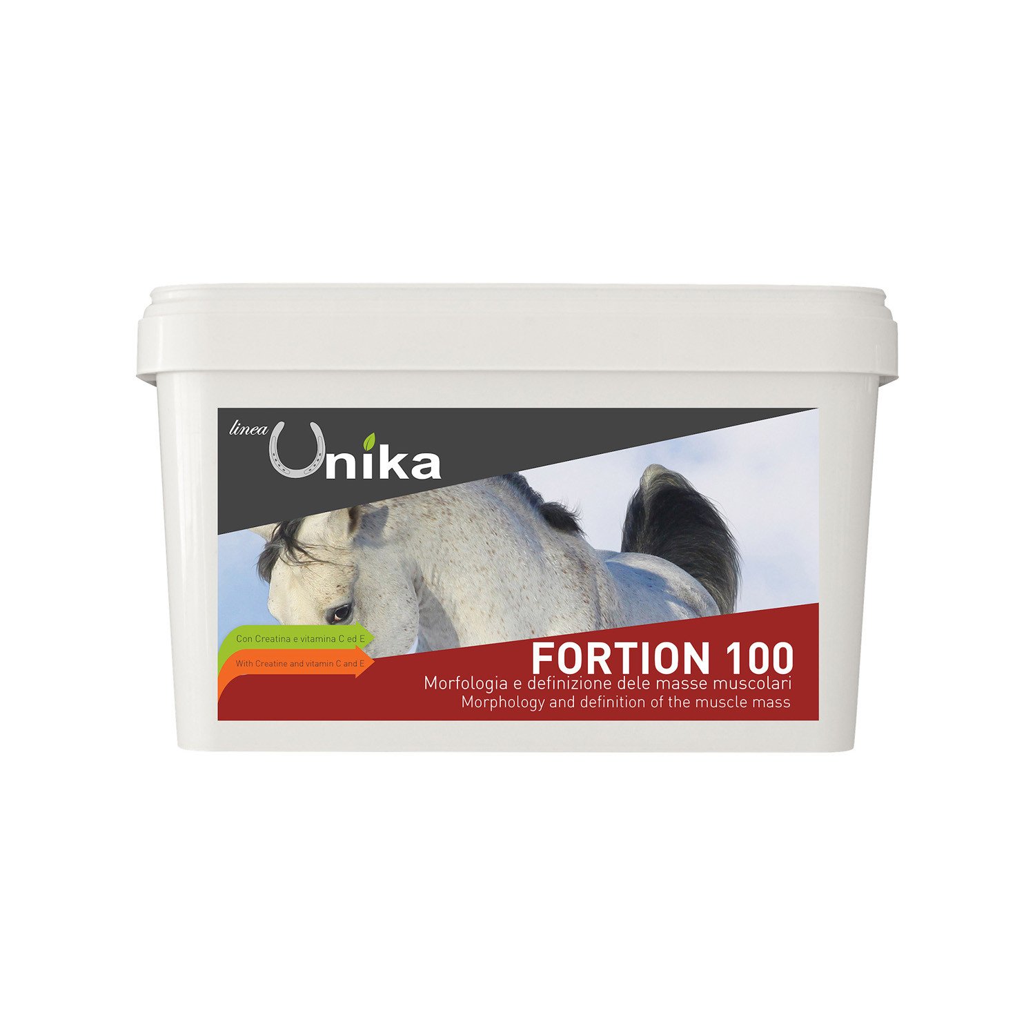 Fortion 100 für Pferde – 30 Beutel x 100 g | Ergänzungsfuttermittel für Sportpferde