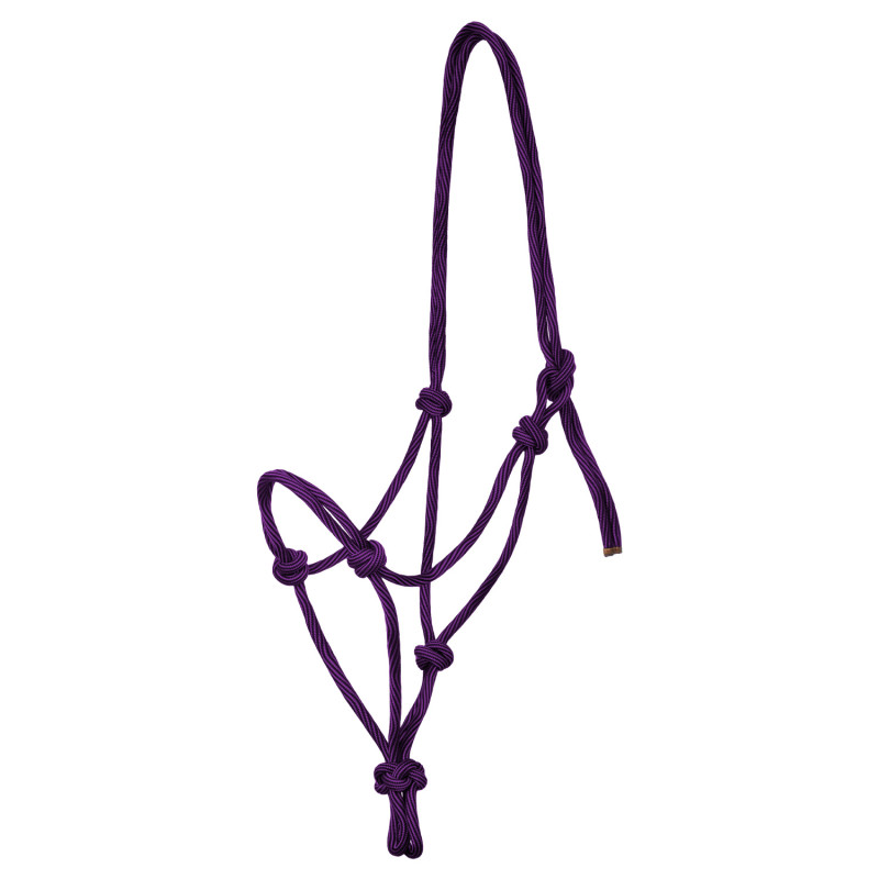 PURPLE / BLACK