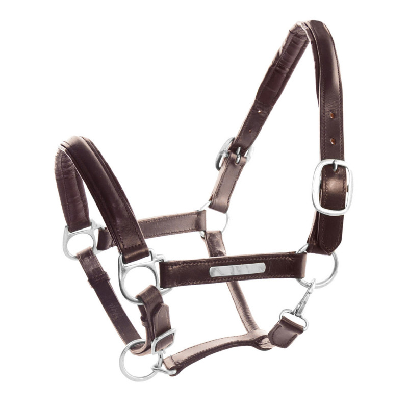 Halfter aus zweilagigem Leder mit Messing-Namensschild