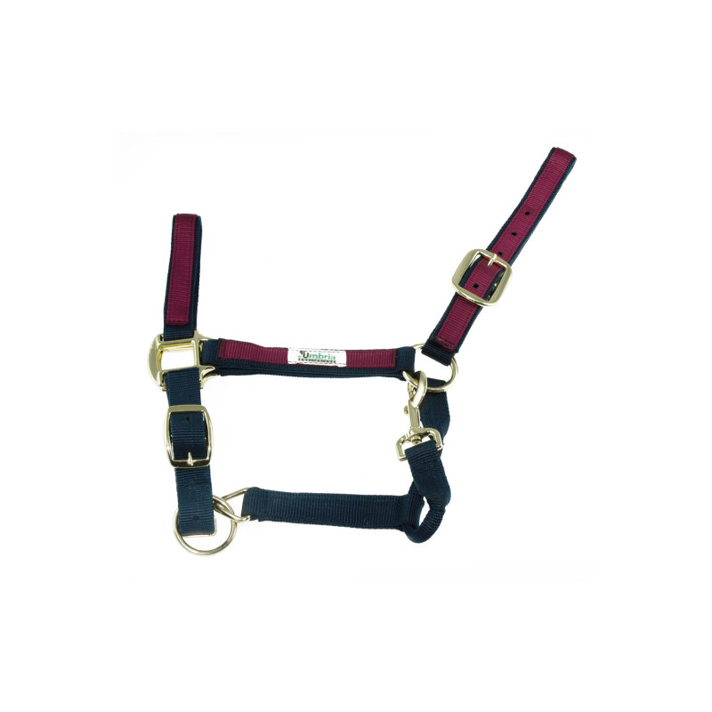 NAVY / BURGUNDY