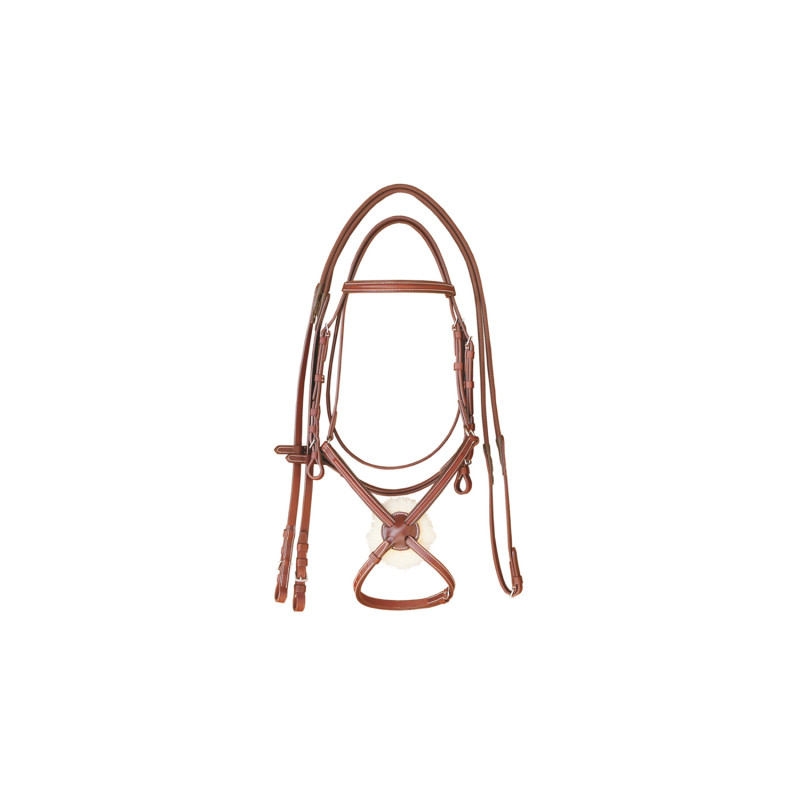 Englisches Lederzaumzeug mit mexikanischem Reithalfter