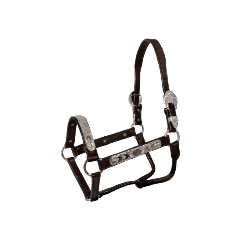 Western Pools Lederhalfter mit Silber