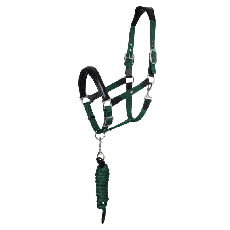 BLACK / HUNTER GREEN