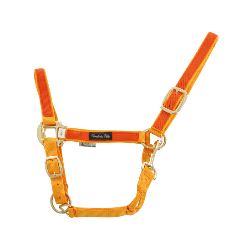 GOLD / ORANGE