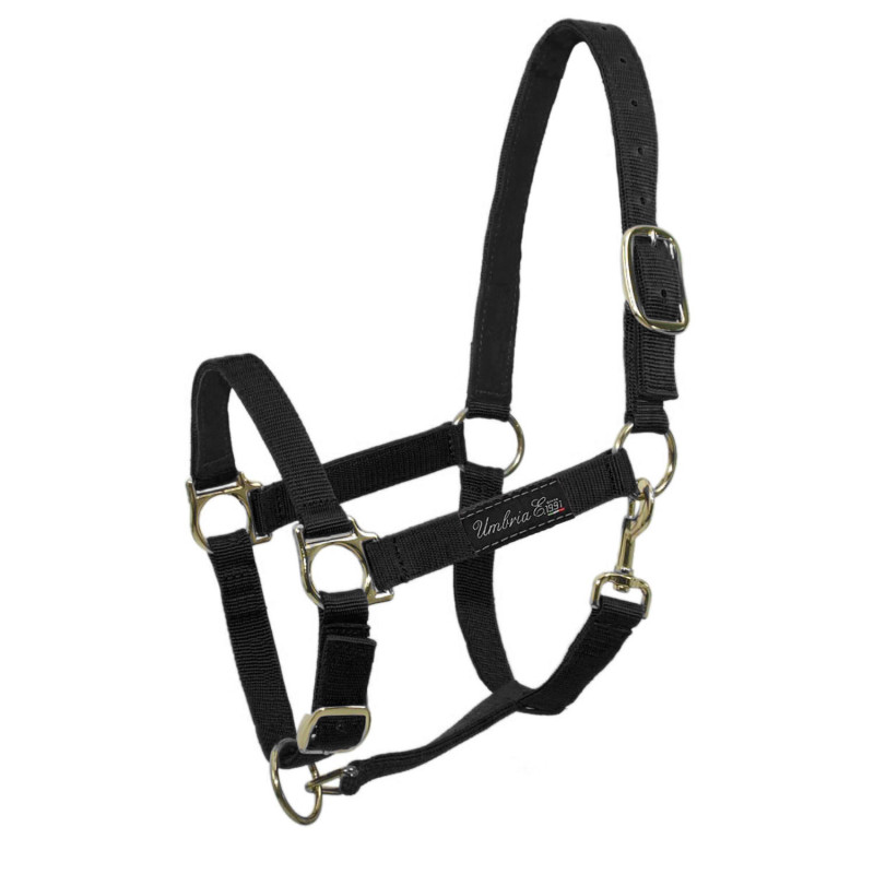 Doppeltes Nylonhalfter mit Lederverstärkung