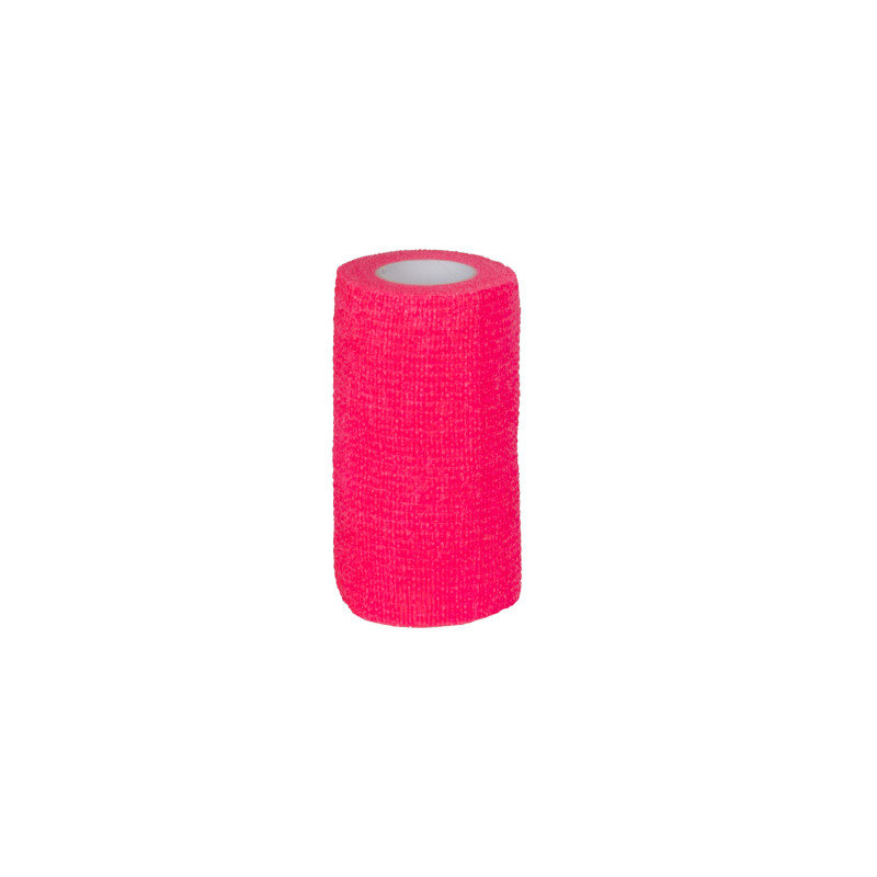 FUCSIA