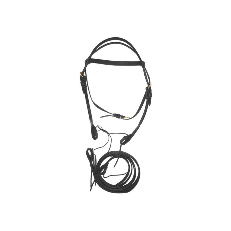 Kronstücke für Zaumzeug