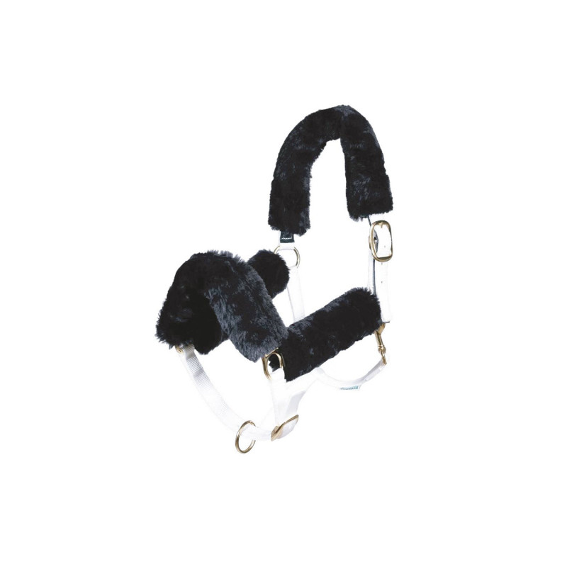 Eco-Wollhalfter-Set