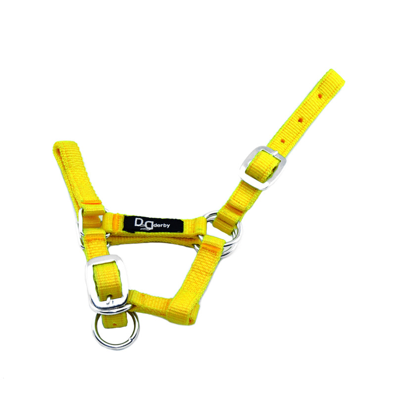 Nylon-Fohlenhalfter mit doppelter Verstellung