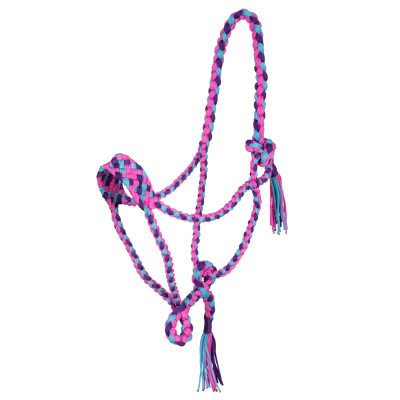 PINK / SKY BLUE / PURPLE