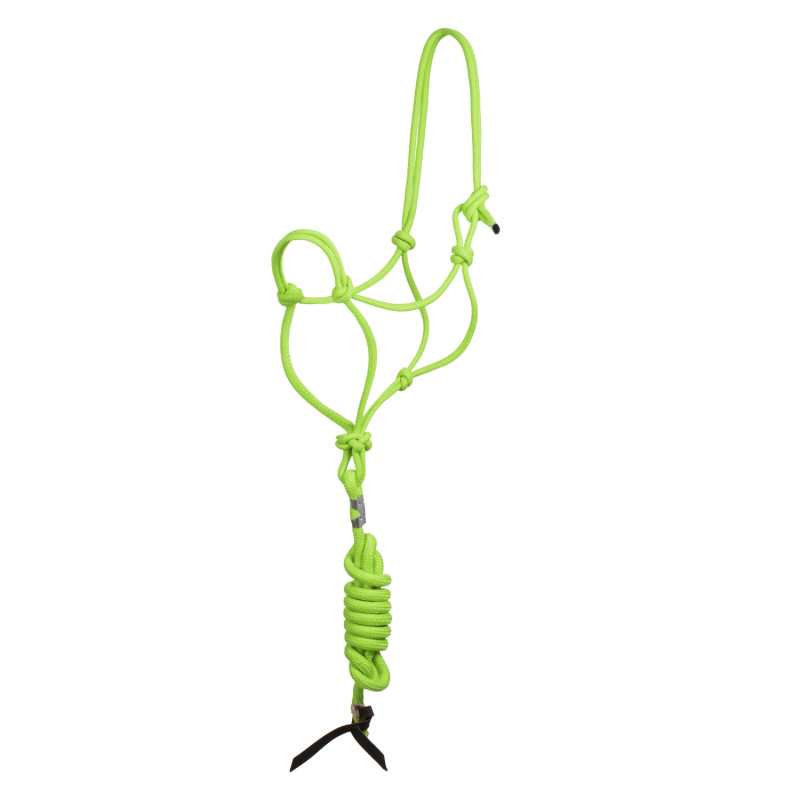 Knotenhalfter aus Nylon mit Führstrick